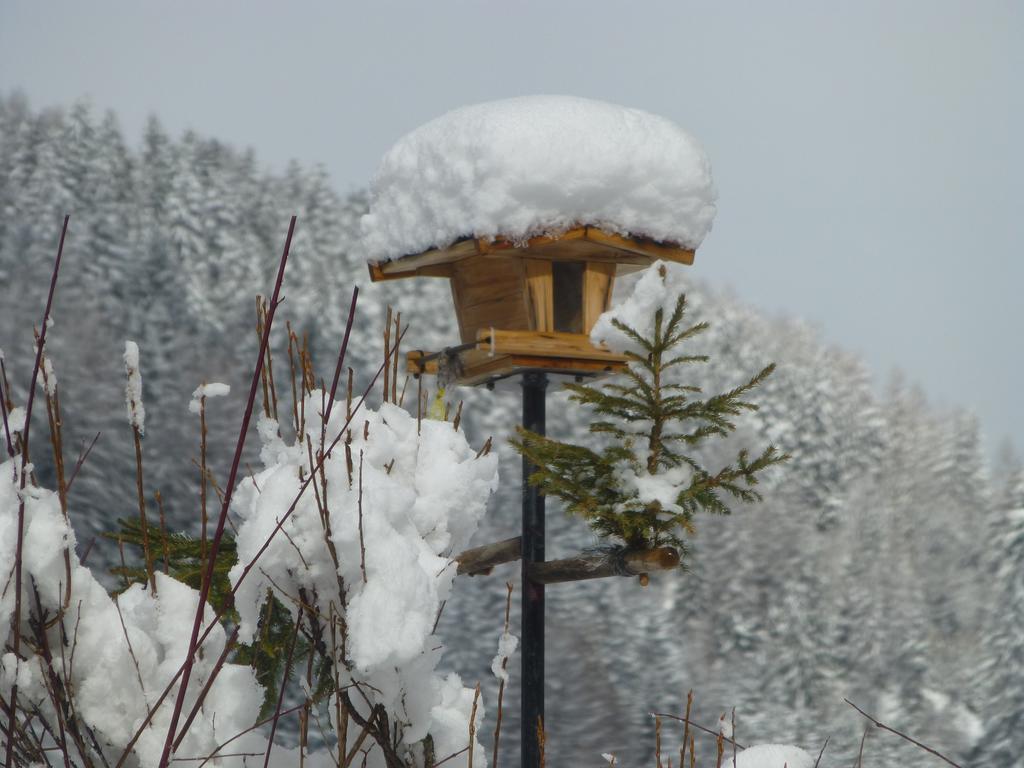 Guesthouse Mountain View Grosskirchheim Exterior foto
